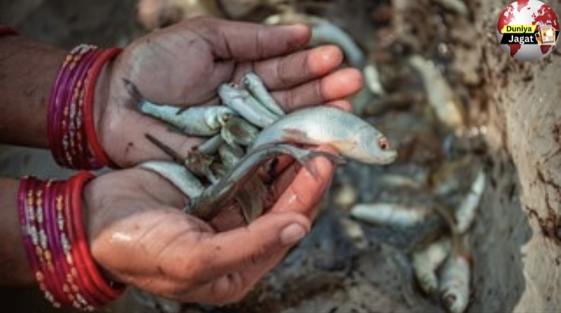 Fishing ban in Chhattisgarh