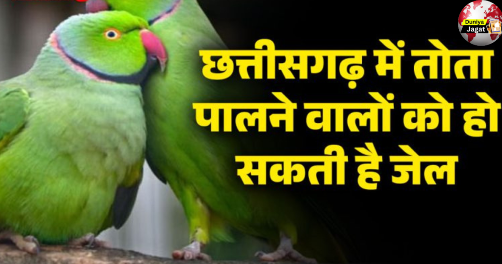 Parrot Rearing Became illegal in Chhattisgarh: छत्तीसगढ़ में तोता या अन्य पक्षी पालने वालों को हो सकती है जेल। 